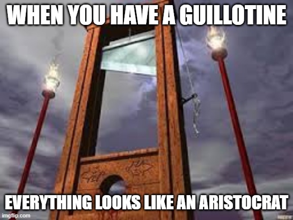 guillotine | WHEN YOU HAVE A GUILLOTINE EVERYTHING LOOKS LIKE AN ARISTOCRAT | image tagged in guillotine | made w/ Imgflip meme maker