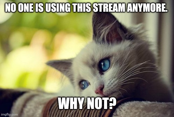 First World Problems Cat Meme | NO ONE IS USING THIS STREAM ANYMORE. WHY NOT? | image tagged in memes,first world problems cat | made w/ Imgflip meme maker