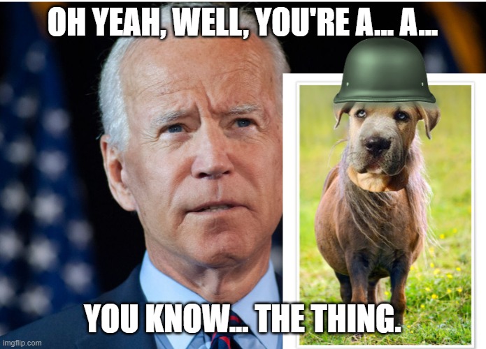 Lying Dog Faced Pony Soldier | OH YEAH, WELL, YOU'RE A... A... YOU KNOW... THE THING. | image tagged in lying dog faced pony soldier | made w/ Imgflip meme maker