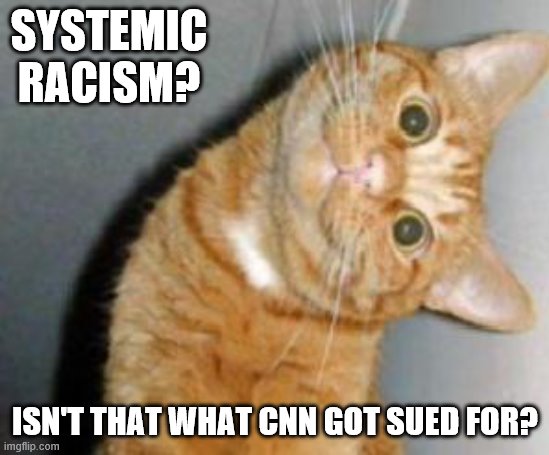 Notice we never heard about the outcome of that suit.... | SYSTEMIC RACISM? ISN'T THAT WHAT CNN GOT SUED FOR? | image tagged in cute cat,politics,cnn fake news,racism,liberal hypocrisy | made w/ Imgflip meme maker