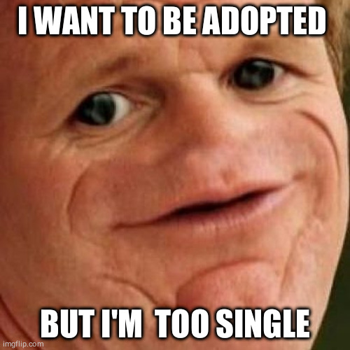 SOSIG | I WANT TO BE ADOPTED; BUT I'M  TOO SINGLE | image tagged in sosig | made w/ Imgflip meme maker