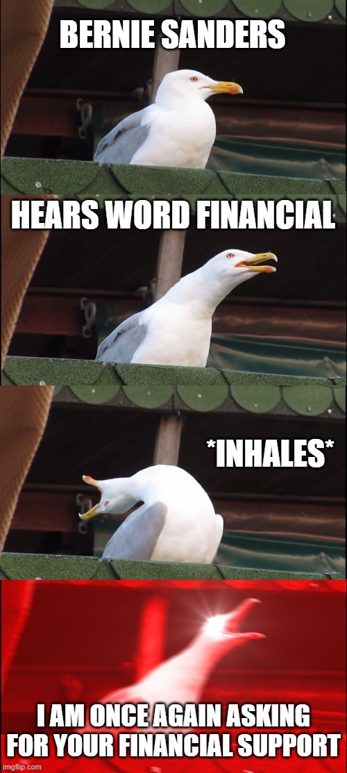 he wants it | BERNIE SANDERS; HEARS WORD FINANCIAL; *INHALES*; I AM ONCE AGAIN ASKING FOR YOUR FINANCIAL SUPPORT | image tagged in memes,inhaling seagull | made w/ Imgflip meme maker