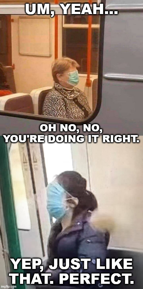 This is how you wear it, right? | UM, YEAH... OH NO, NO, YOU'RE DOING IT RIGHT. YEP, JUST LIKE THAT. PERFECT. | image tagged in face mask,memes | made w/ Imgflip meme maker