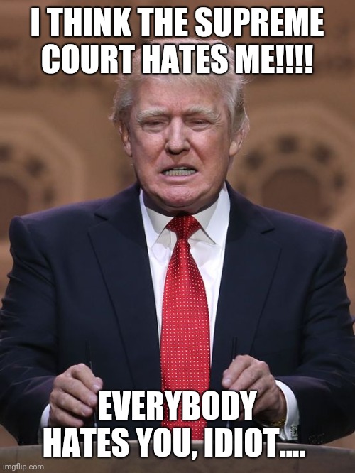 Donald Trump | I THINK THE SUPREME COURT HATES ME!!!! EVERYBODY HATES YOU, IDIOT.... | image tagged in donald trump | made w/ Imgflip meme maker