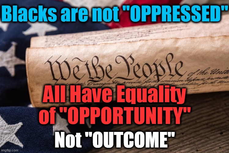 We Believe in Capitalism & Not Communism | Blacks are not "OPPRESSED"; All Have Equality of "OPPORTUNITY"; Not "OUTCOME" | image tagged in politics,political meme,republicans,political,political memes,protesters | made w/ Imgflip meme maker