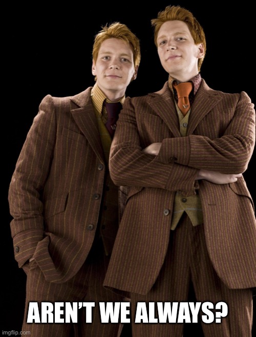 Fred & George Weasley | AREN’T WE ALWAYS? | image tagged in fred  george weasley | made w/ Imgflip meme maker