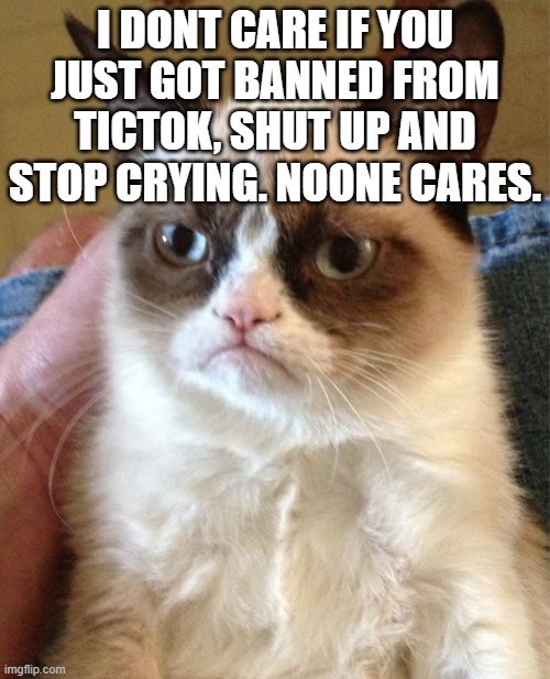 Grumpy Cat Meme | I DONT CARE IF YOU JUST GOT BANNED FROM TICTOK, SHUT UP AND STOP CRYING. NOONE CARES. | image tagged in memes,grumpy cat | made w/ Imgflip meme maker