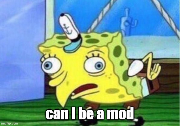 No. You can be owner | can I be a mod | image tagged in memes,mocking spongebob | made w/ Imgflip meme maker