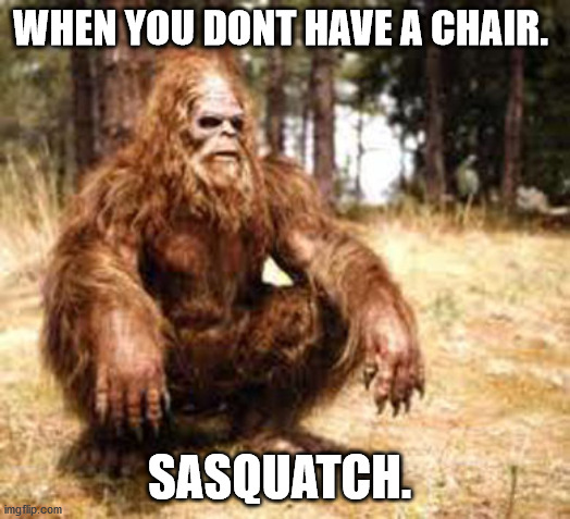 bigfoot | WHEN YOU DONT HAVE A CHAIR. SASQUATCH. | image tagged in bigfoot | made w/ Imgflip meme maker