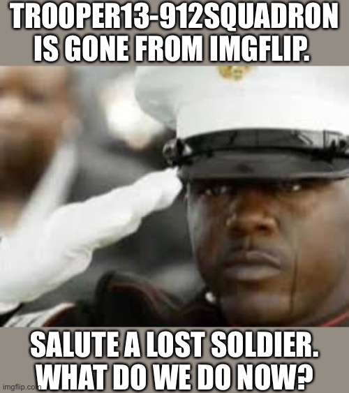 I salute you! | TROOPER13-912SQUADRON IS GONE FROM IMGFLIP. SALUTE A LOST SOLDIER.
WHAT DO WE DO NOW? | image tagged in sad salute | made w/ Imgflip meme maker