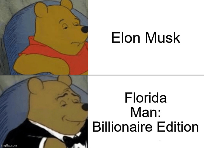 Tuxedo Winnie The Pooh Meme | Elon Musk; Florida Man: Billionaire Edition | image tagged in memes,tuxedo winnie the pooh,elon musk,florida man | made w/ Imgflip meme maker
