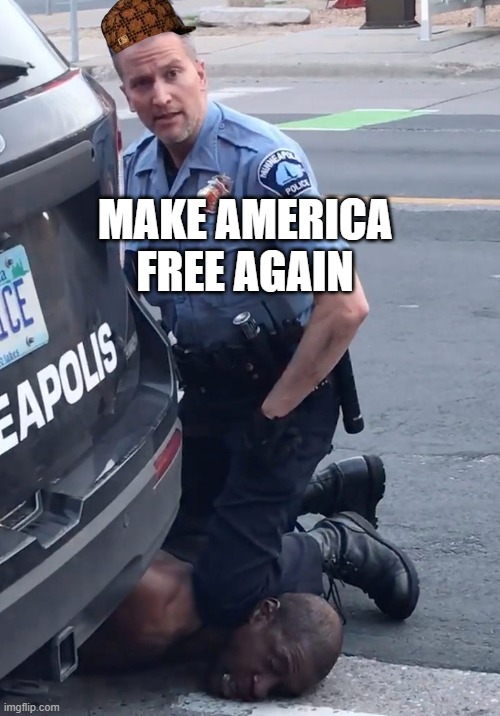 MAKE AMERICA FREE AGAIN | MAKE AMERICA FREE AGAIN | image tagged in derek chauvinist pig | made w/ Imgflip meme maker