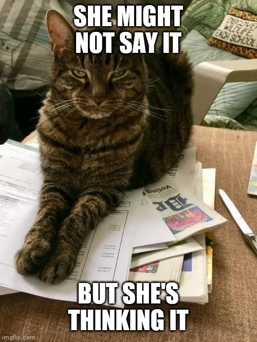 She might not say it | SHE MIGHT NOT SAY IT; BUT SHE'S THINKING IT | image tagged in judgemental | made w/ Imgflip meme maker
