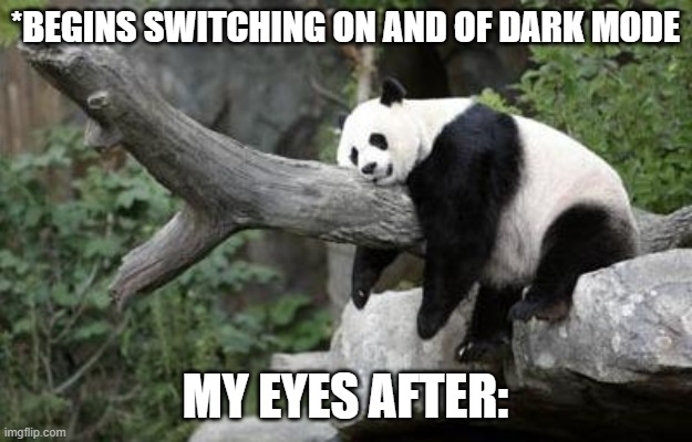 lazy panda | *BEGINS SWITCHING ON AND OF DARK MODE; MY EYES AFTER: | image tagged in lazy panda | made w/ Imgflip meme maker