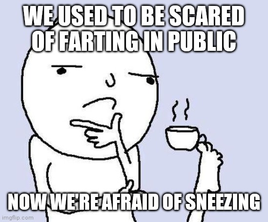 thinking meme | WE USED TO BE SCARED OF FARTING IN PUBLIC; NOW WE'RE AFRAID OF SNEEZING | image tagged in thinking meme | made w/ Imgflip meme maker