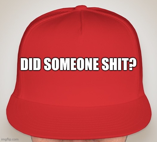 Trump Hat | DID SOMEONE SHIT? | image tagged in trump hat | made w/ Imgflip meme maker