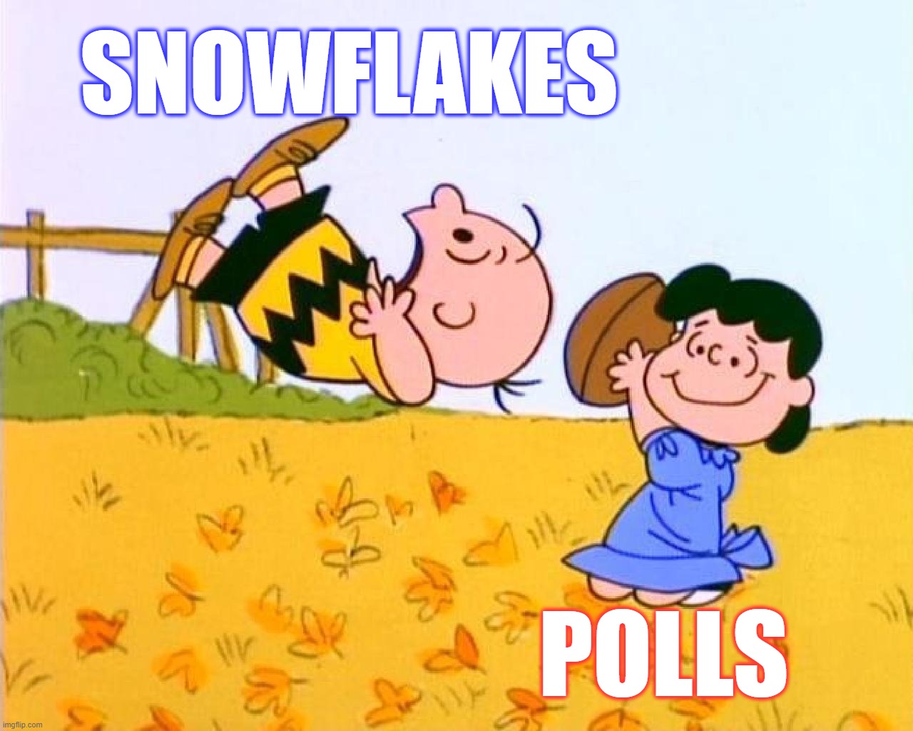 SNOWFLAKES POLLS | made w/ Imgflip meme maker