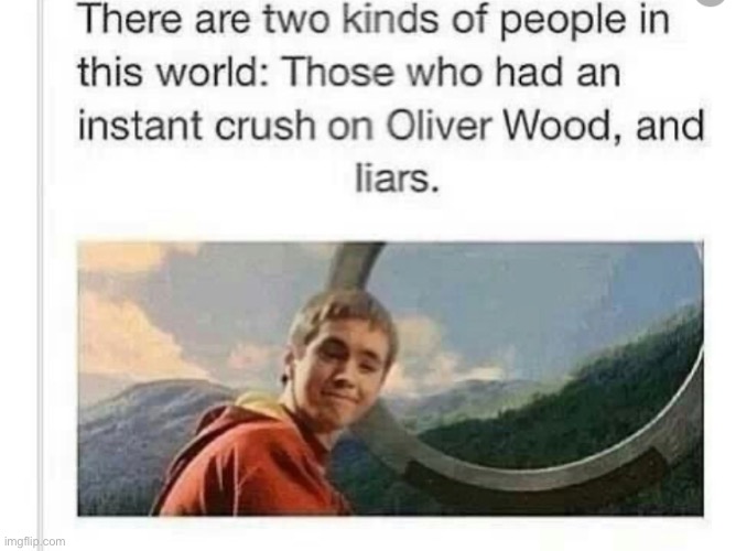 Which group r u in? The fangirls or the liars? | made w/ Imgflip meme maker