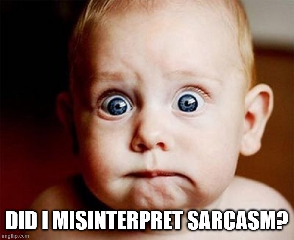 oops | DID I MISINTERPRET SARCASM? | image tagged in oops | made w/ Imgflip meme maker