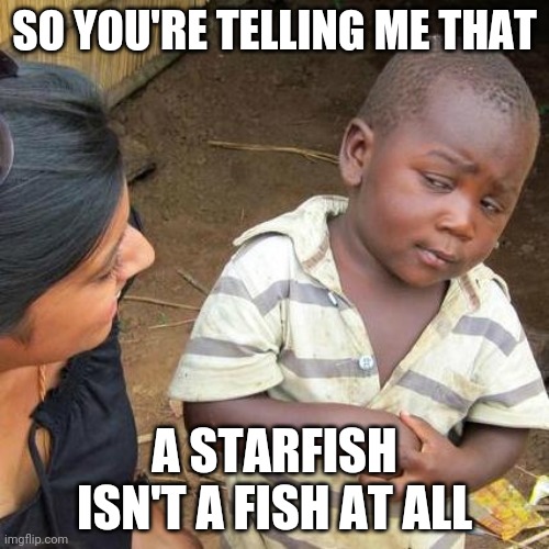 Third World Skeptical Kid | SO YOU'RE TELLING ME THAT; A STARFISH ISN'T A FISH AT ALL | image tagged in memes,third world skeptical kid | made w/ Imgflip meme maker