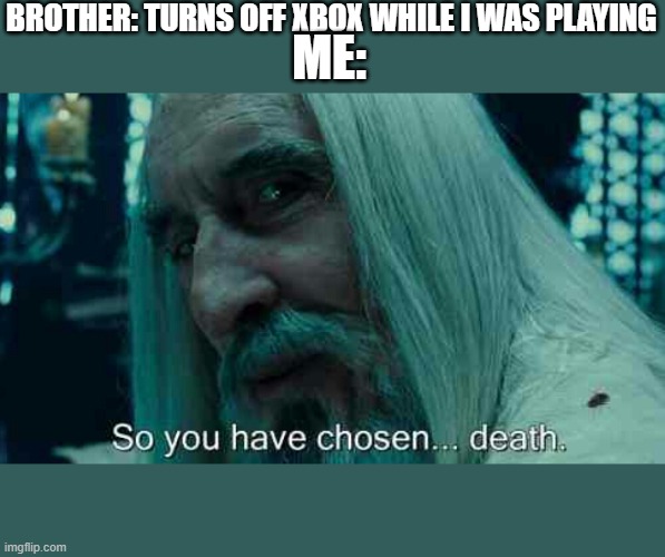 So you have chosen death | BROTHER: TURNS OFF XBOX WHILE I WAS PLAYING; ME: | image tagged in so you have chosen death | made w/ Imgflip meme maker