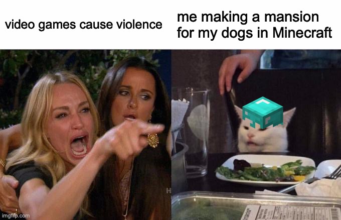 OoKk booMer | video games cause violence; me making a mansion for my dogs in Minecraft | image tagged in memes,woman yelling at cat | made w/ Imgflip meme maker