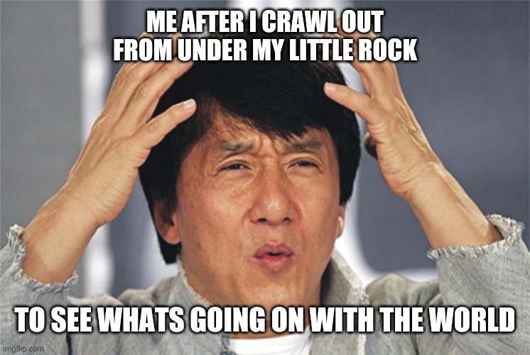 Jackie Chan Confused | ME AFTER I CRAWL OUT FROM UNDER MY LITTLE ROCK; TO SEE WHATS GOING ON WITH THE WORLD | image tagged in jackie chan confused | made w/ Imgflip meme maker