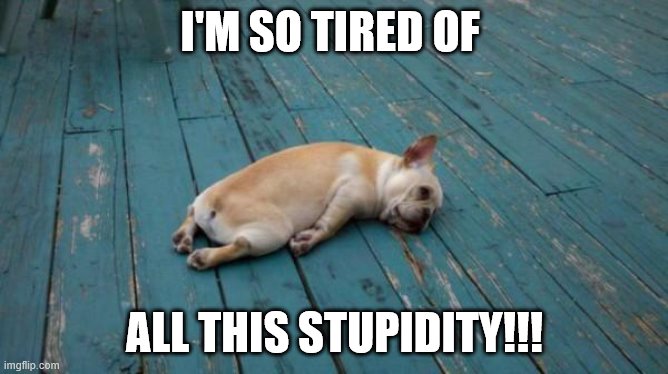 tired dog |  I'M SO TIRED OF; ALL THIS STUPIDITY!!! | image tagged in tired dog | made w/ Imgflip meme maker