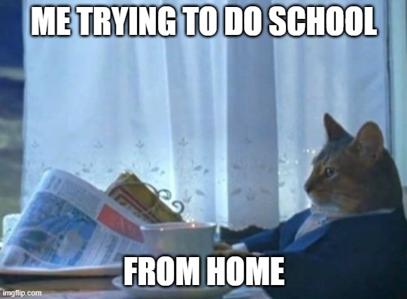 I Should Buy A Boat Cat | ME TRYING TO DO SCHOOL; FROM HOME | image tagged in memes,i should buy a boat cat | made w/ Imgflip meme maker