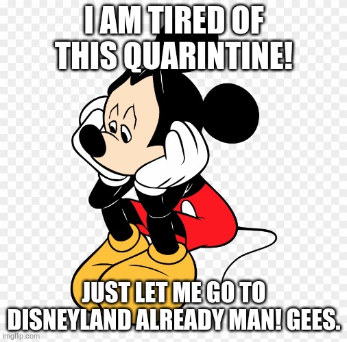 I AM TIRED OF THIS QUARINTINE! JUST LET ME GO TO DISNEYLAND ALREADY MAN! GEES. | made w/ Imgflip meme maker