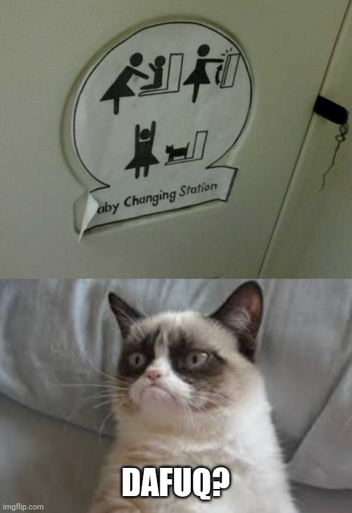 WHAT HAPPENED? | DAFUQ? | image tagged in grumpy cat,memes,cats,wtf | made w/ Imgflip meme maker