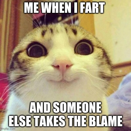 yessssss! | ME WHEN I FART; AND SOMEONE ELSE TAKES THE BLAME | image tagged in memes,smiling cat | made w/ Imgflip meme maker