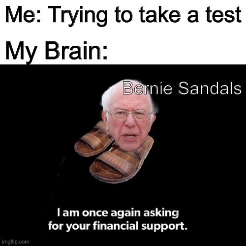 I am once again asking for your feet | My Brain:; Me: Trying to take a test; Bernie Sandals | image tagged in bernie sanders,bernie i am once again asking for your support,sandals,my brain | made w/ Imgflip meme maker