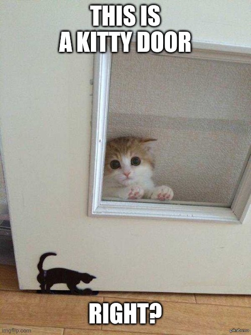 COME ON IN | THIS IS A KITTY DOOR; RIGHT? | image tagged in cats,funny cats | made w/ Imgflip meme maker