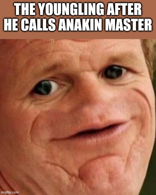 SOSIG | THE YOUNGLING AFTER HE CALLS ANAKIN MASTER | image tagged in sosig | made w/ Imgflip meme maker