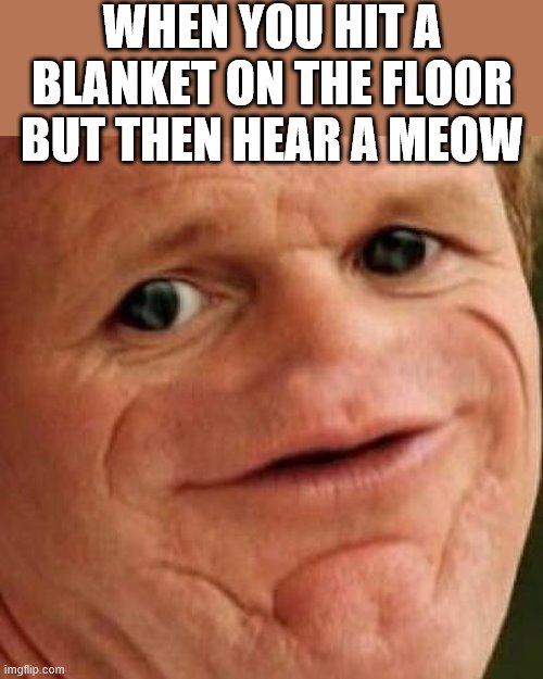 SOSIG | WHEN YOU HIT A BLANKET ON THE FLOOR BUT THEN HEAR A MEOW | image tagged in sosig | made w/ Imgflip meme maker