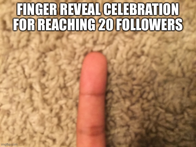 Finger Reveal | FINGER REVEAL CELEBRATION FOR REACHING 20 FOLLOWERS | image tagged in memes,funny,finger,followers,thank you,celebration | made w/ Imgflip meme maker