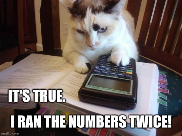 Math cat | IT'S TRUE. I RAN THE NUMBERS TWICE! | image tagged in math cat | made w/ Imgflip meme maker