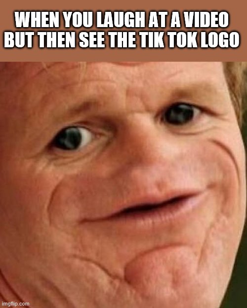 SOSIG | WHEN YOU LAUGH AT A VIDEO BUT THEN SEE THE TIK TOK LOGO | image tagged in sosig | made w/ Imgflip meme maker
