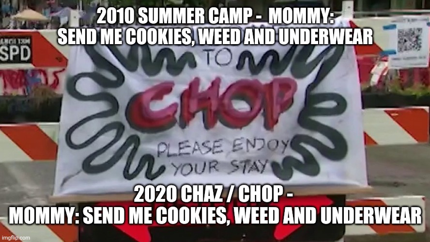 Poor babies never left the apron strings | 2010 SUMMER CAMP -  MOMMY: SEND ME COOKIES, WEED AND UNDERWEAR; 2020 CHAZ / CHOP - 
MOMMY: SEND ME COOKIES, WEED AND UNDERWEAR | image tagged in chaz,chop,seattle,antifa,blm,police | made w/ Imgflip meme maker