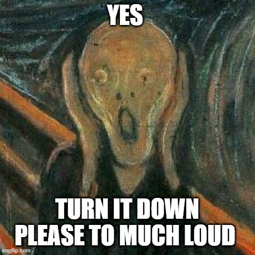 Angst | YES TURN IT DOWN PLEASE TO MUCH LOUD | image tagged in angst | made w/ Imgflip meme maker