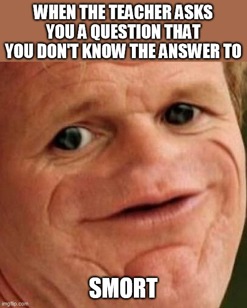 SOSIG | WHEN THE TEACHER ASKS YOU A QUESTION THAT YOU DON'T KNOW THE ANSWER TO; SMORT | image tagged in sosig | made w/ Imgflip meme maker