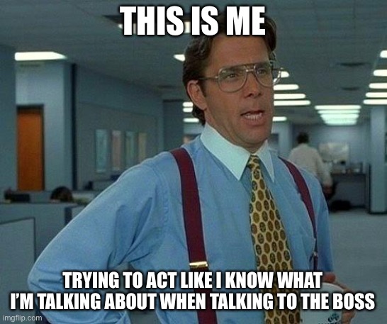 That Would Be Great Meme | THIS IS ME; TRYING TO ACT LIKE I KNOW WHAT I’M TALKING ABOUT WHEN TALKING TO THE BOSS | image tagged in memes,that would be great | made w/ Imgflip meme maker