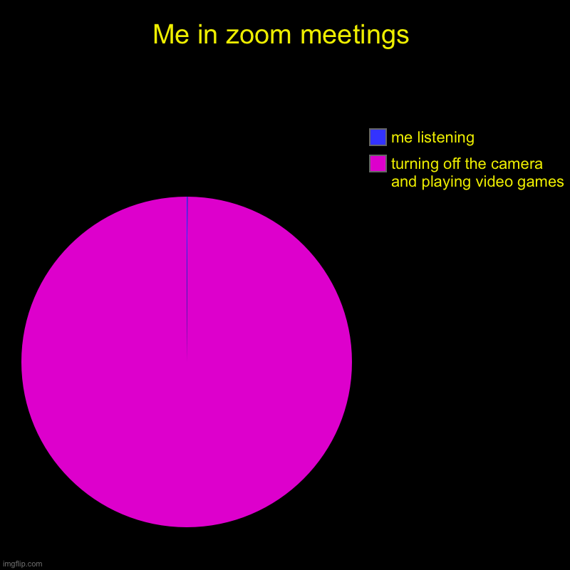 Me in zoom meetings | turning off the camera and playing video games , me listening | image tagged in charts,pie charts | made w/ Imgflip chart maker
