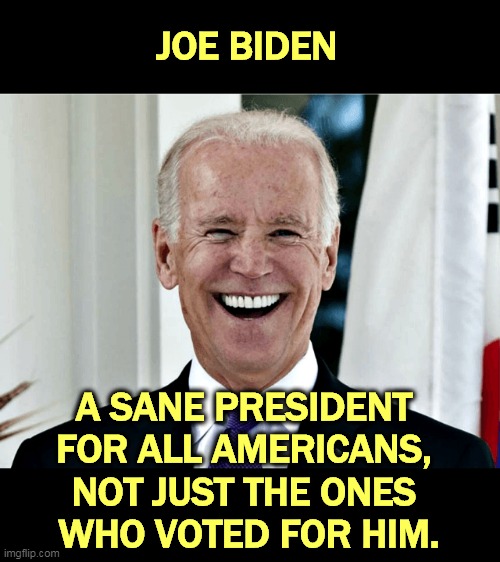 It doesn't have to be like this. Our president could bring us together, instead of making everything "us and them." | JOE BIDEN; A SANE PRESIDENT 
FOR ALL AMERICANS, 
NOT JUST THE ONES 
WHO VOTED FOR HIM. | image tagged in biden,president,all,americans | made w/ Imgflip meme maker
