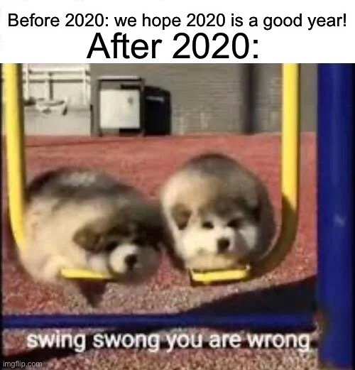 SWING SWONG YOU ARE WRONG | Before 2020: we hope 2020 is a good year! After 2020: | image tagged in swing swong you are wrong | made w/ Imgflip meme maker