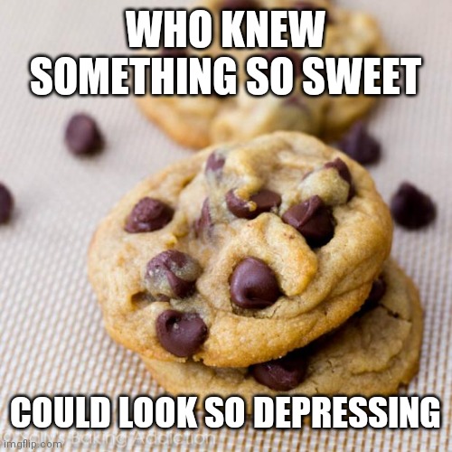 Punny Cookies | WHO KNEW SOMETHING SO SWEET; COULD LOOK SO DEPRESSING | image tagged in punny cookies | made w/ Imgflip meme maker