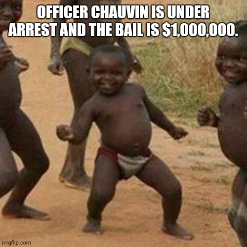 Third World Success Kid Meme | OFFICER CHAUVIN IS UNDER ARREST AND THE BAIL IS $1,000,000. | image tagged in memes,third world success kid | made w/ Imgflip meme maker