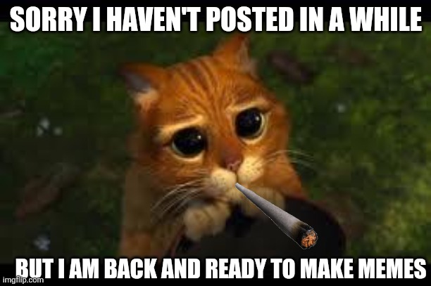 Sorry | SORRY I HAVEN'T POSTED IN A WHILE; BUT I AM BACK AND READY TO MAKE MEMES | image tagged in apology cat | made w/ Imgflip meme maker