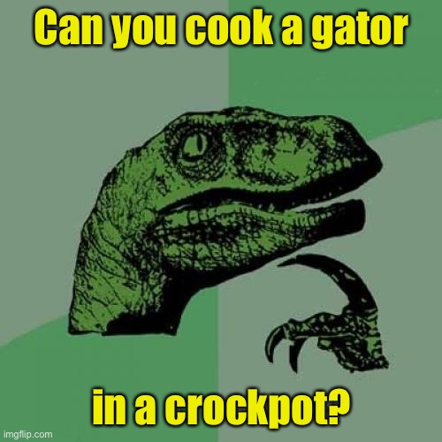 Philosoraptor Meme | Can you cook a gator; in a crockpot? | image tagged in memes,philosoraptor | made w/ Imgflip meme maker